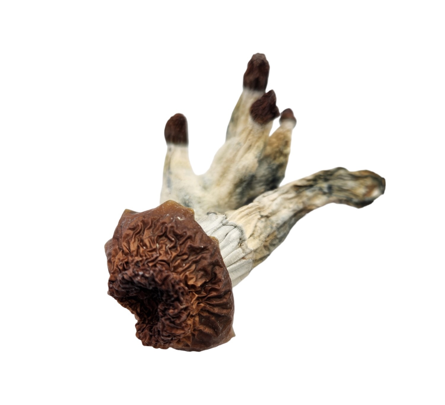 Blue Pulaski-Photoroom Blue Pulaski - Image 1