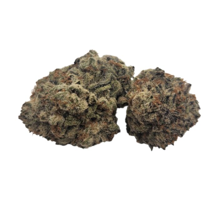 Orange Creamsicle - Image 1