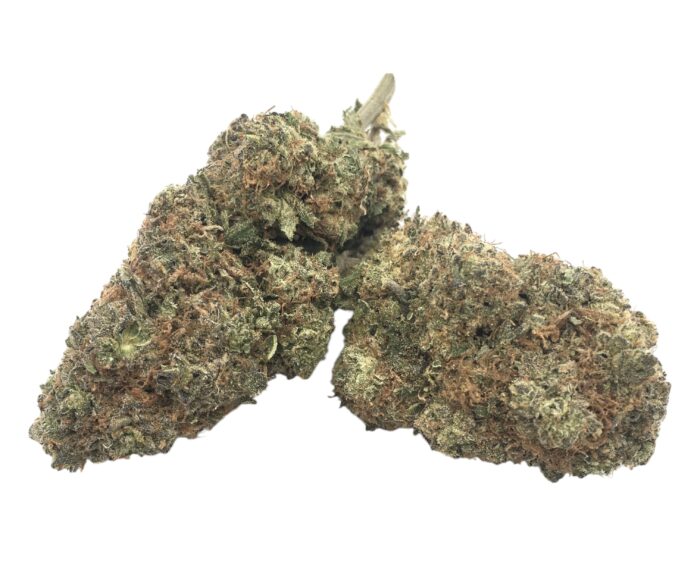 Pink Champagne - Image 1