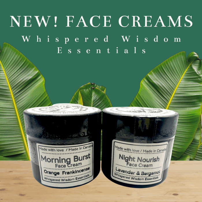 Face Creams- Morning & Night - Image 1