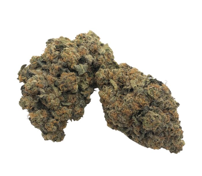 Biscotti Mintz - Image 1