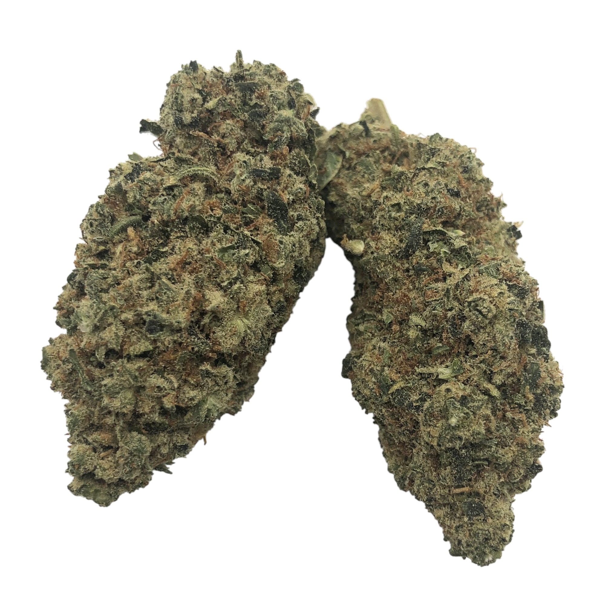 red bullz-Photoroom Red Bullz - Image 1