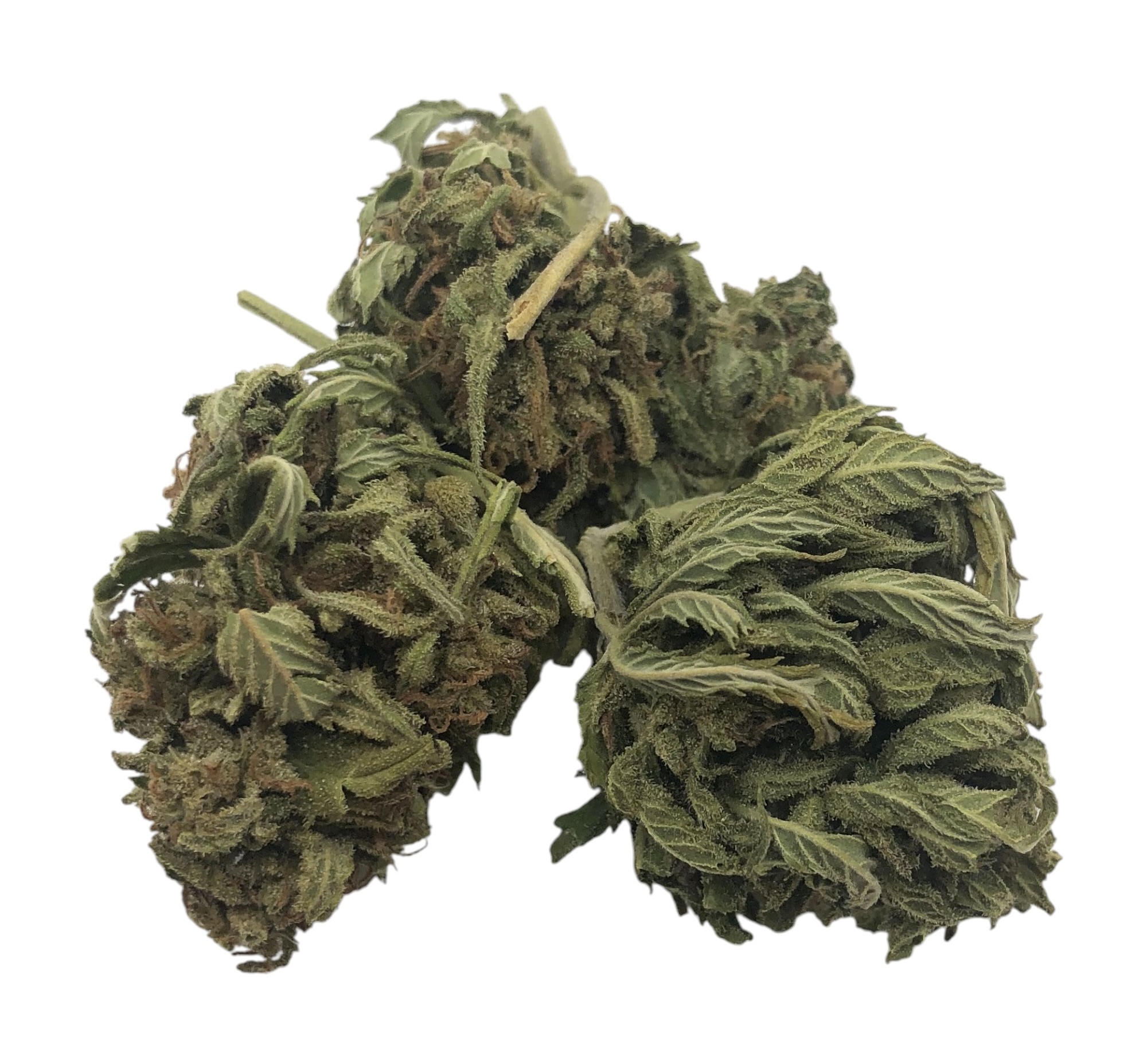 SLH-Photoroom Super Lemon Haze - Image 1