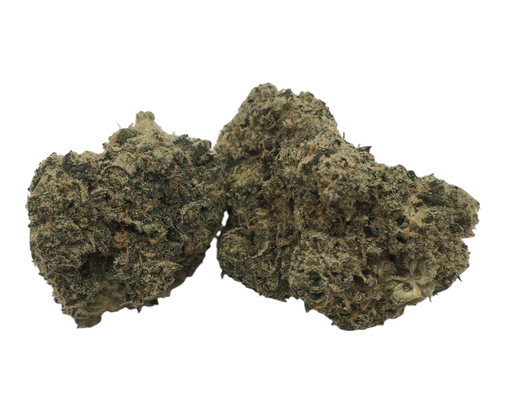 blue sherb-Photoroom Blue Sherbert - Image 1